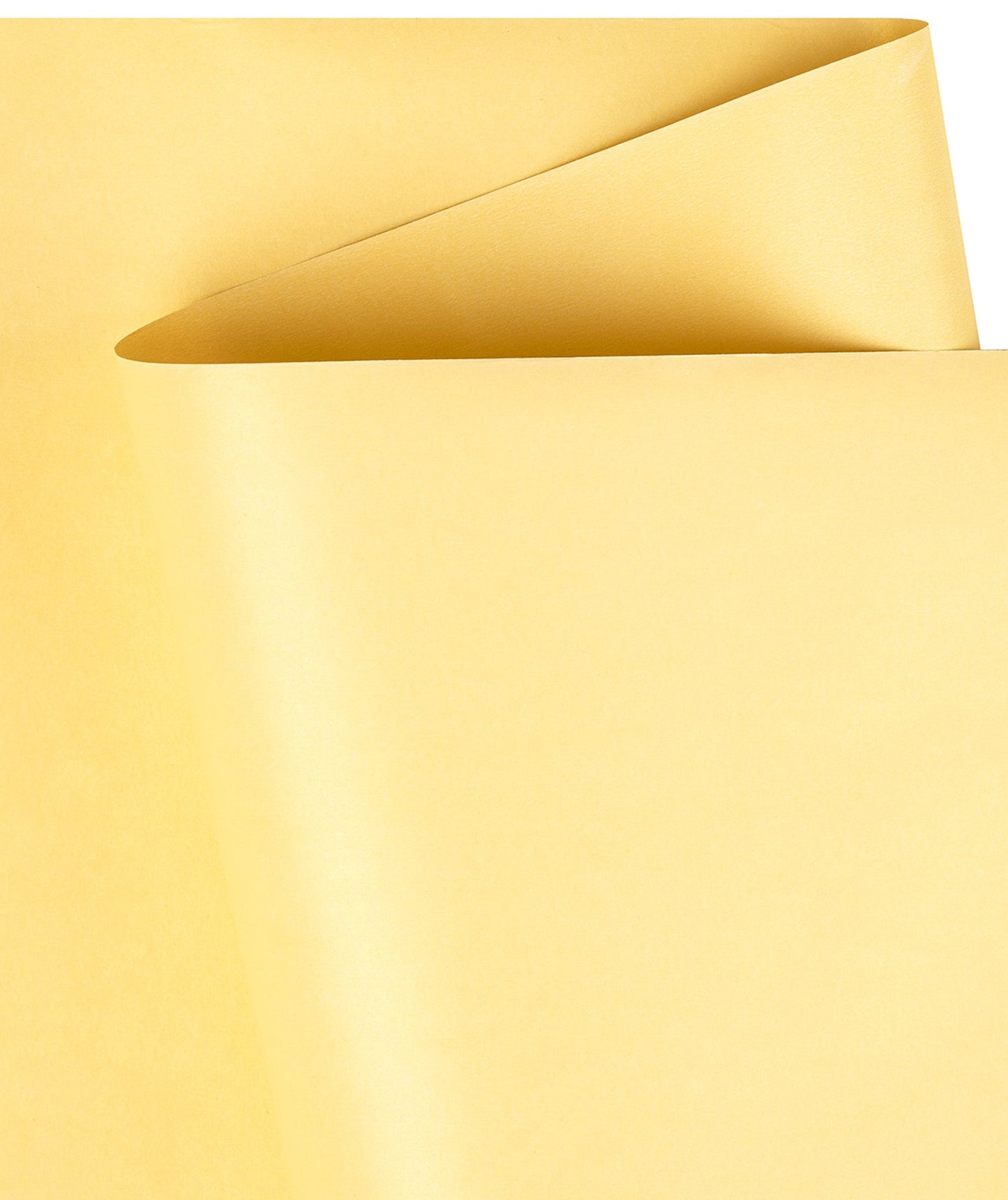 Pearl Gloss Wrapping Paper Roll Maize Yellow